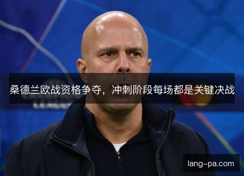 桑德兰欧战资格争夺,冲刺阶段每场都是关键决战 桑德兰欧战资格争夺,冲刺阶段每场都是关键决战